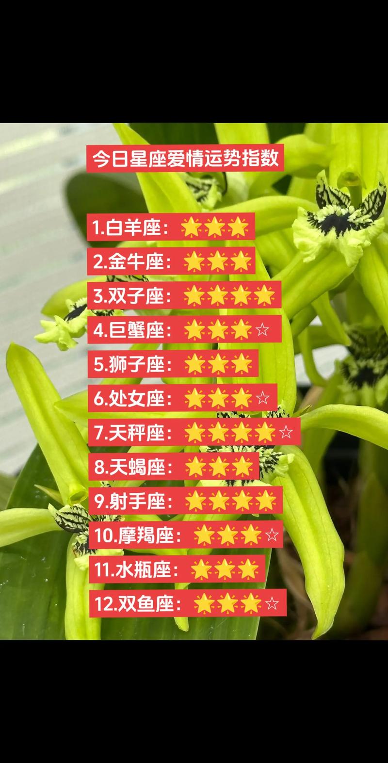 2025盛夏桃花盛宴：白羊双子狮子天秤的爱情好运