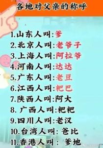 孩子他爹的称呼：称谓演变与文化传承探析