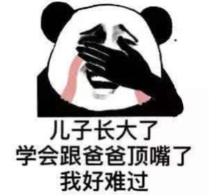 别人说我是你爹怎么办：幽默应对策略大揭秘