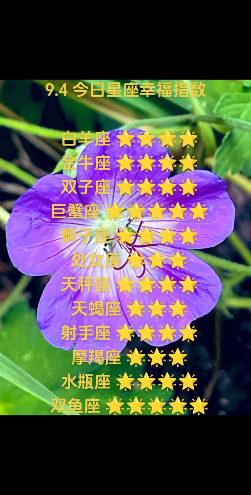 星座生肖揭秘：白羊双鱼龙猴真爱力量，幸福财运揭秘