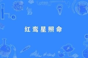 2025年红鸾星动：四大生肖星座邂逅甜蜜爱情！