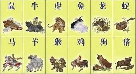 2024生肖鼠龙蛇马财运爆发，爱情事业双丰收！