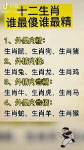 揭秘：生肖傻乎乎外表下的智慧和潜力