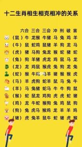 2024甲辰龙年：属鼠蛇猪大旺运势，事业爱情双丰收！