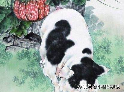 生肖女生魅力揭秘：兔龙马猪性格特点与财运