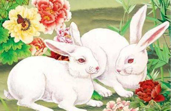 生肖女生魅力揭秘：兔龙马猪性格特点与财运