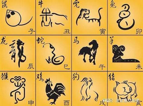 生肖星座揭秘：鼠蛇猴兔女生智慧魅力人生