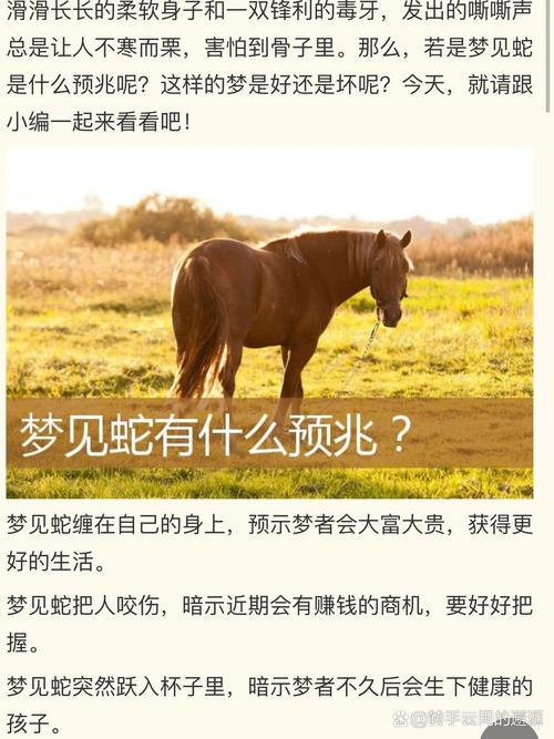 女人梦见蛇是什么情况：心理密码与文化象征