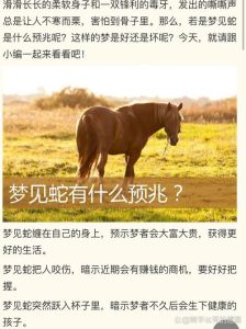 女人梦见蛇是什么情况：心理密码与文化象征