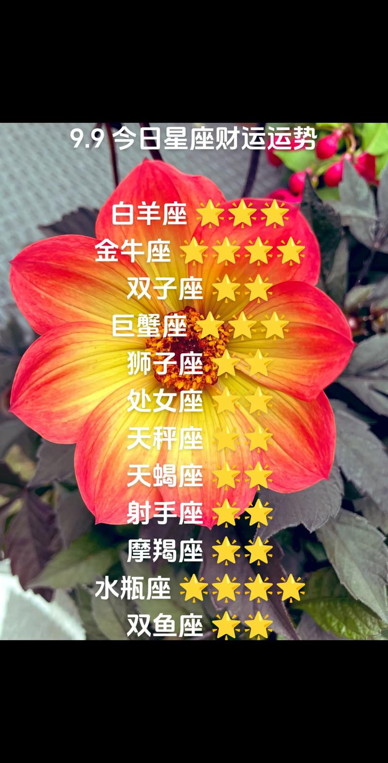 星座财运揭秘：白羊狮子双子狗，爱情事业双丰收！