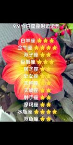 星座财运揭秘：白羊狮子双子狗，爱情事业双丰收！