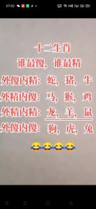 揭秘：生肖背后的‘外傻内精’智慧之谜