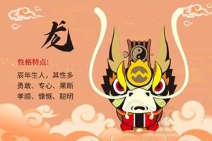 急躁中的善良：鼠龙虎羊生肖揭秘