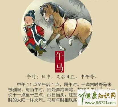 生肖奥秘：鼠牛虎龙四大生肖的坚韧成功之路