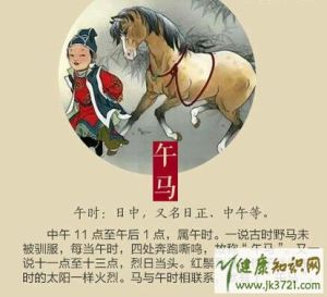 生肖奥秘：鼠牛虎龙四大生肖的坚韧成功之路