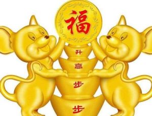 揭秘：兔马蛇潜力生肖，平凡中的闪耀之星