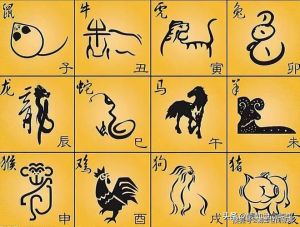2025生肖运势：龙牛蛇鼠新篇章，机遇与挑战并存