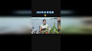 2025年生肖运势：鼠龙猴猪事业腾飞，展望职场传奇