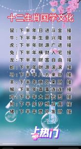 2025十二生肖星座运势：财富高峰，梦想成真！