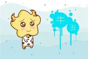 破解家庭霉运：风水命理+生活习惯秘诀全解析