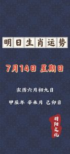 2024年11月13日运势揭秘：生肖吉凶与幸运指南
