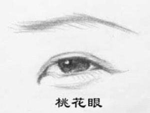 桃花眼男人揭秘：命运与情感之谜