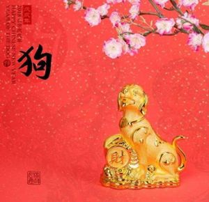 2025年生肖财运大爆发：狗羊龙猪横财连连！