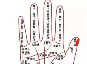 揭秘手相：小指长度与命运性格的惊人联系