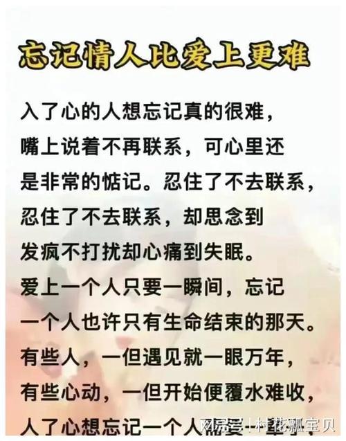 独行者内心世界揭秘：孤独中的自我与坚韧