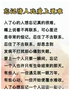 独行者内心世界揭秘：孤独中的自我与坚韧
