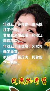 打破孤僻壁垒：提升自信的社交策略