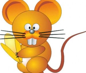 2024财运亨通：鼠虎兔猪四大生肖财富盛宴