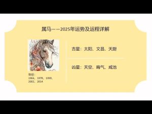 2025年生肖星座运势：机遇与挑战并存，财运亨通！