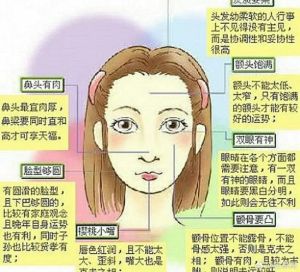 面相学：从古至今的奥秘与命运探索