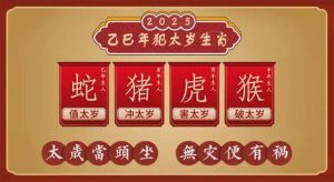 2025年生肖运势：鼠龙马鸡闪耀职场爱情