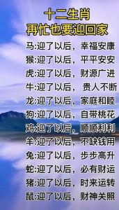 夜空璀璨生肖运势：龙兔马好运连连，星光人生祝福！