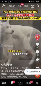 周公解梦揭秘：狗咬梦兆好运还是不幸？