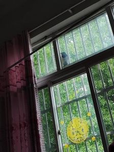 喜鹊鸣叫：清晨吉祥的传统文化寓意