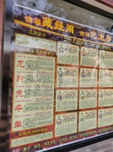2025生肖运势：鼠龙猴鸡腾飞年，事业财富双赢！