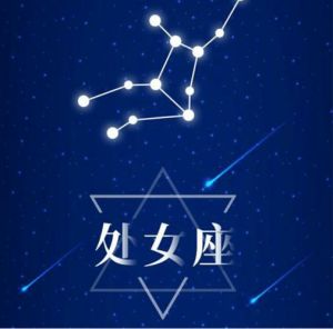 四大星座财富魅力揭秘：天秤狮子摩羯双子闪耀人生