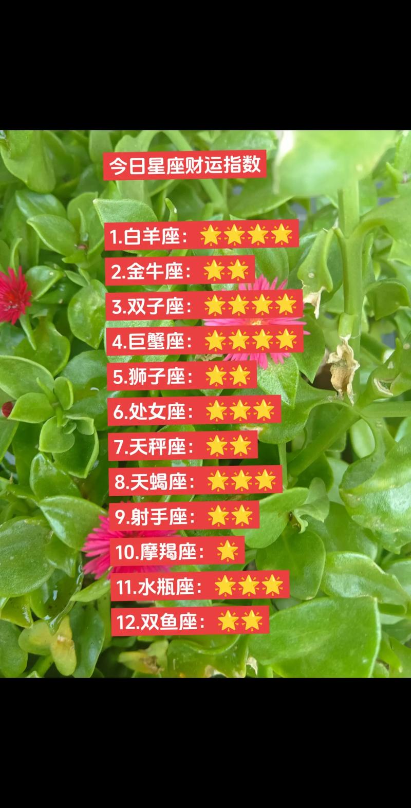 揭秘白羊金牛射手摩羯：爱情财运事业四大星座优势