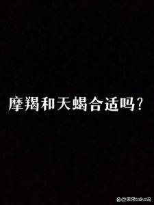 巨蟹深情处女理财天蝎事业摩羯交际：四星独特魅力解析