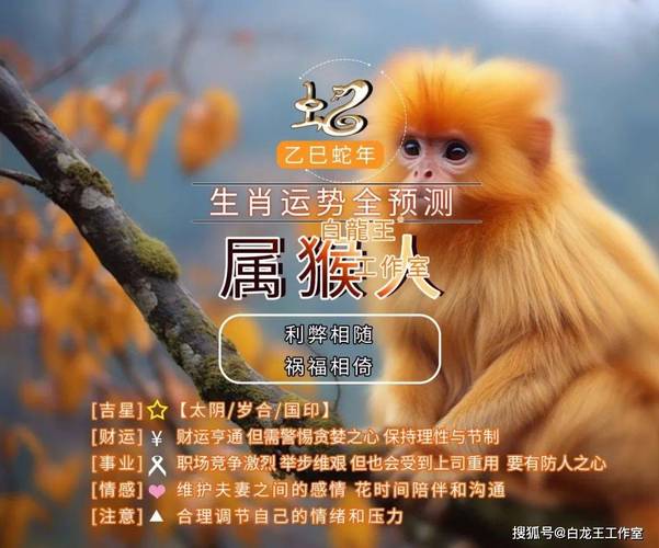 2025年运势大解析：四大生肖迎贵人助力！