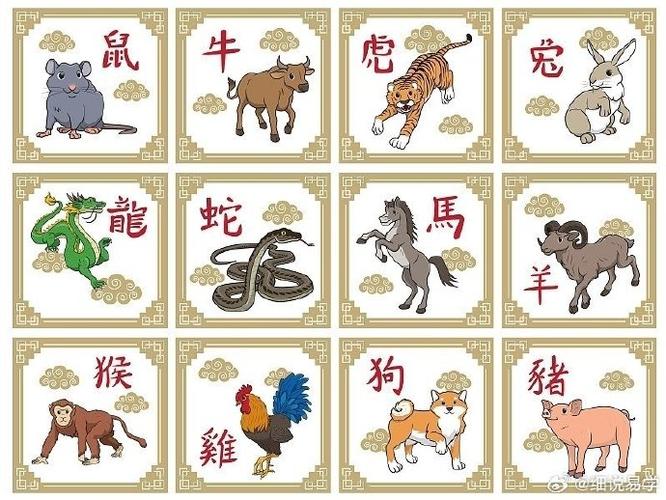 生肖女生情商解析：鼠龙蛇马如何爱情事业双丰收