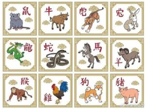 生肖女生情商解析：鼠龙蛇马如何爱情事业双丰收
