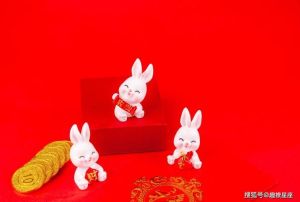 冬至转运：龙马猴狗迎好运，运势升温生肖日