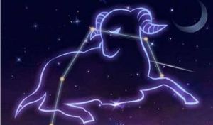 2025年：白羊金牛狮子猪，四大坦率星座生肖的真诚之旅