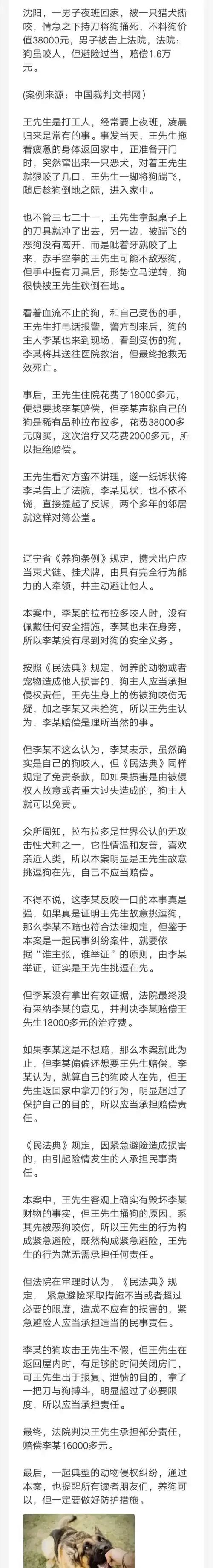 女人梦见狗咬老公头：梦境解析与关爱建议