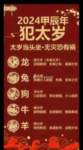 2024年12月13日十二生肖运势解析及注意事项