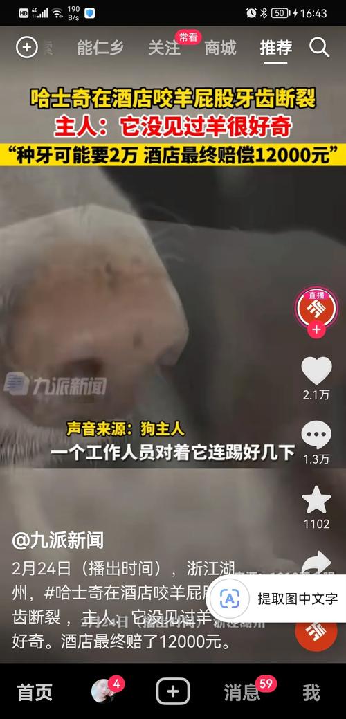 解梦：老婆梦见狗咬老公，揭秘婚姻冲突与应对之道